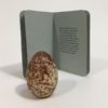 Letters of Transit - Passports for Birds - Image 4