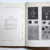 The Use of the Plant in Decorative Design, Teachers’ Edition for High School - Image 2